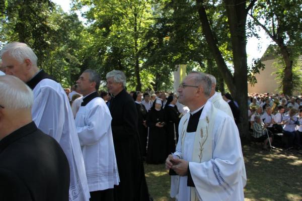 Kliknij aby zobaczyć pełny rozmiar